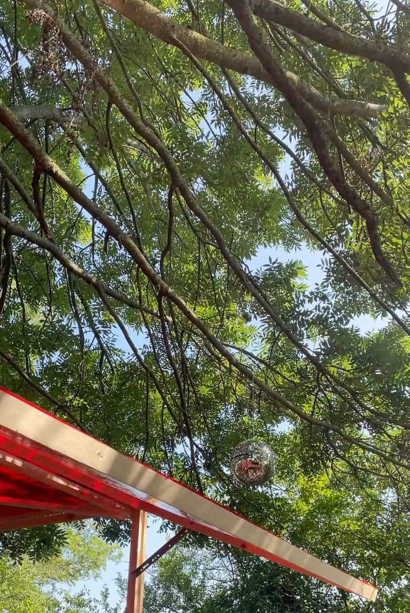 green leaves